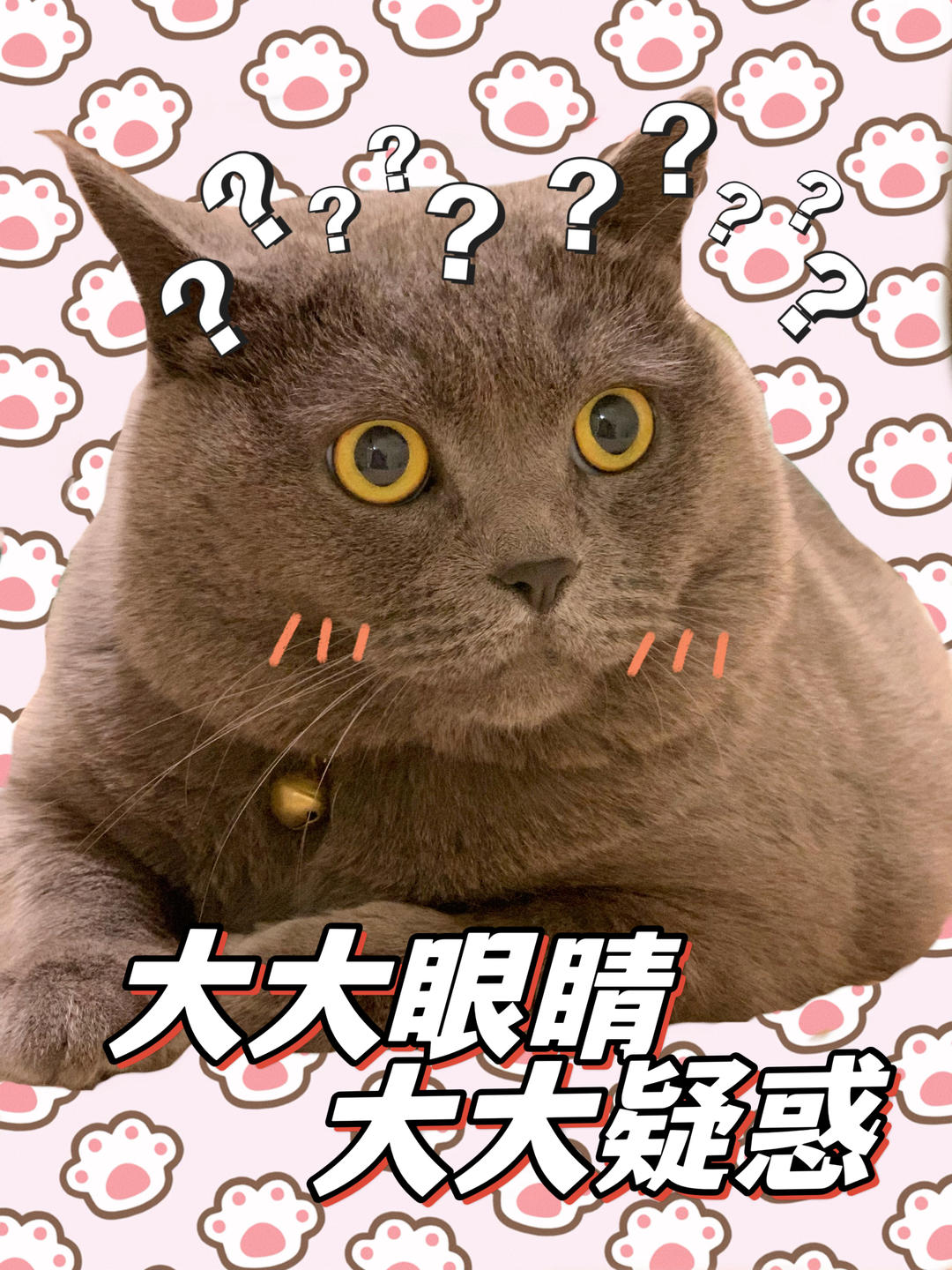 皮蛋他不会做饭