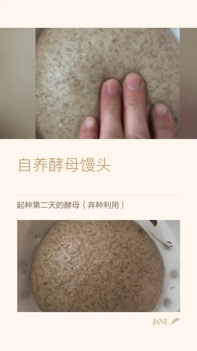 天然酵母鲁邦种培养日记（全麦面粉）成功