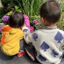 厨小白已经被注册了