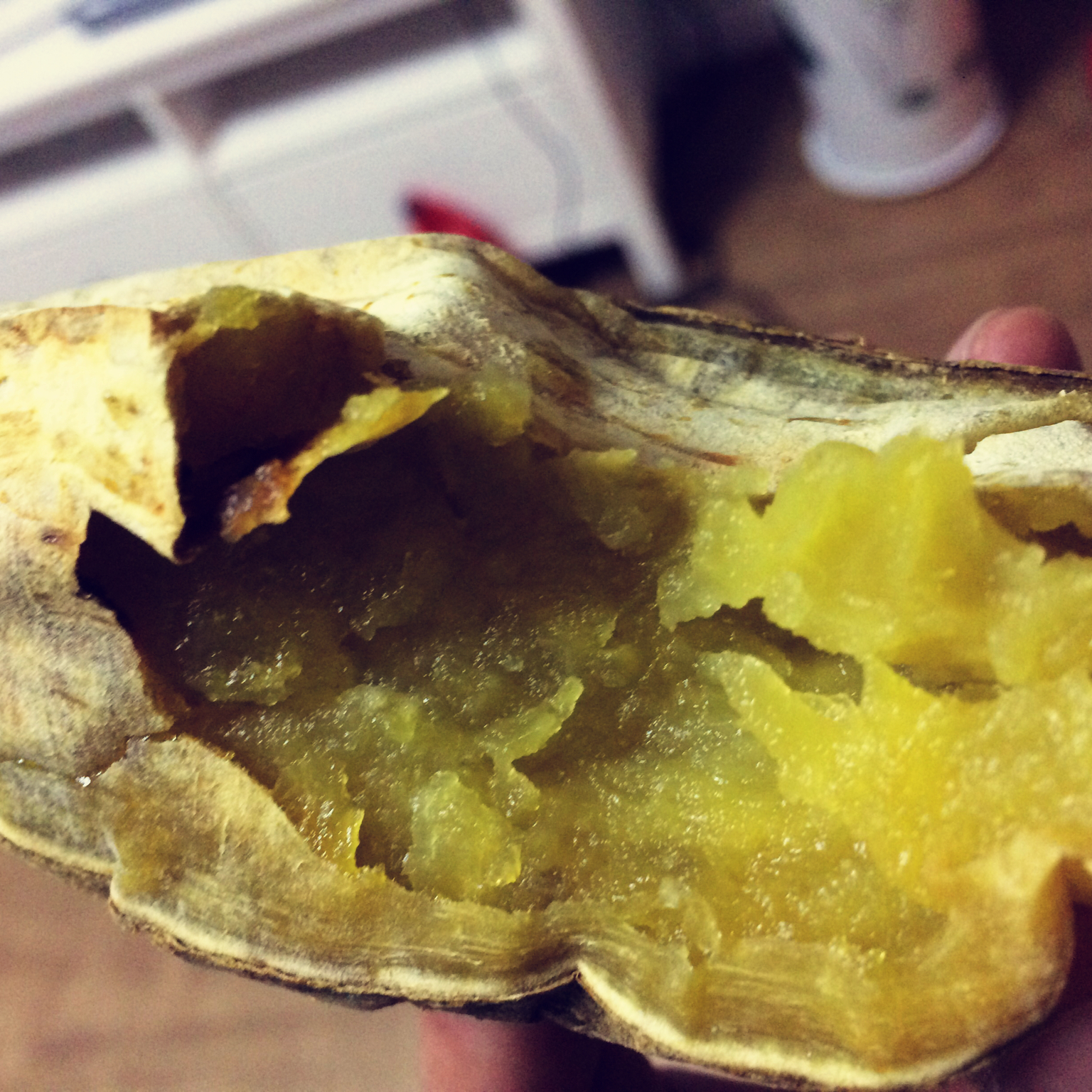 烤地瓜（烤箱初试）