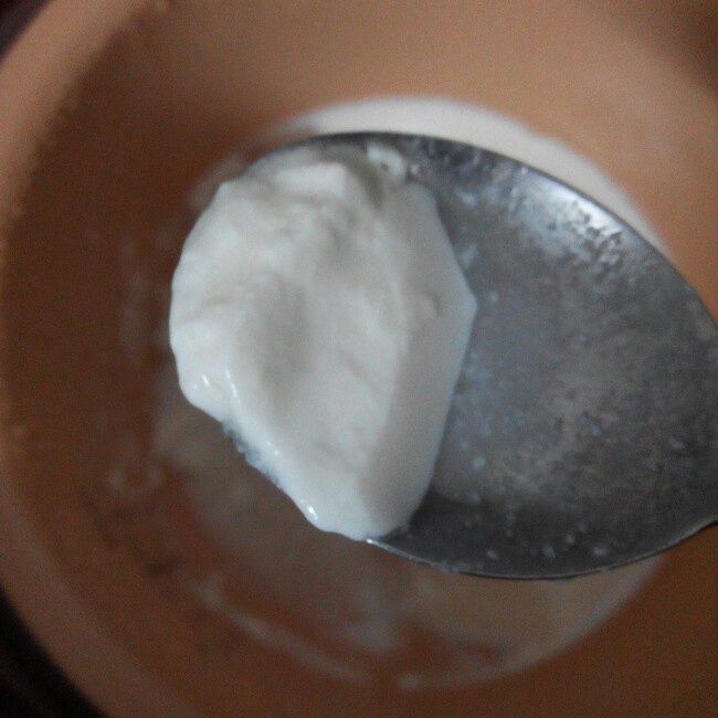 自制酸奶