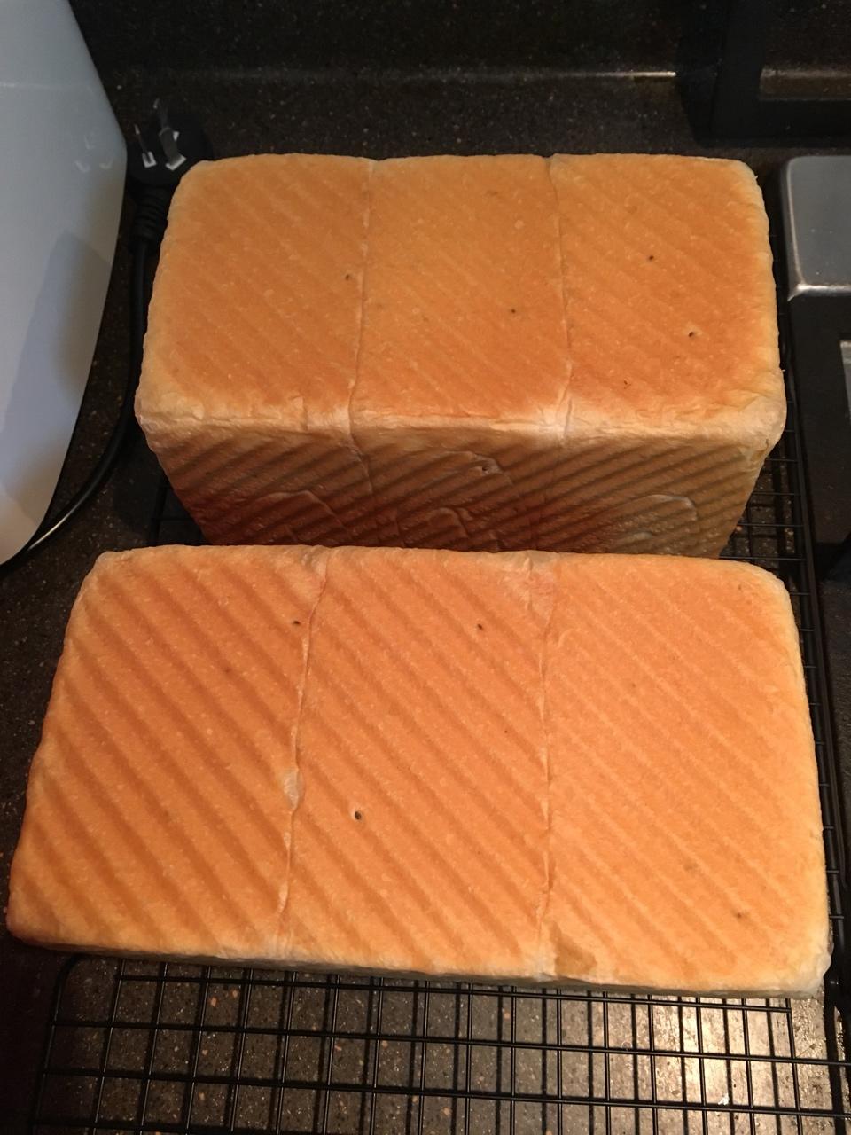 北海道吐司--100%中种