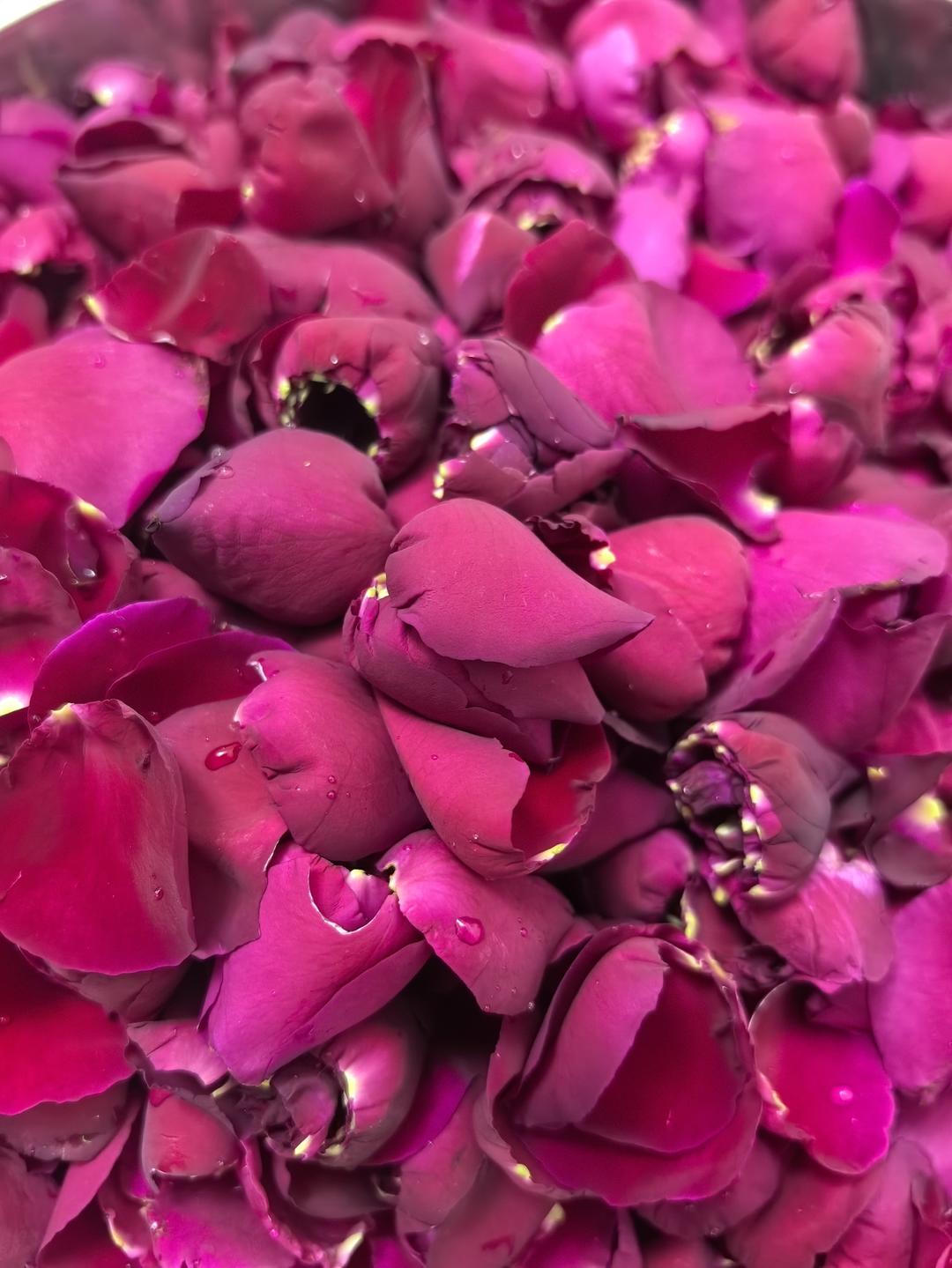 自制玫瑰花酱（厨师机）的做法