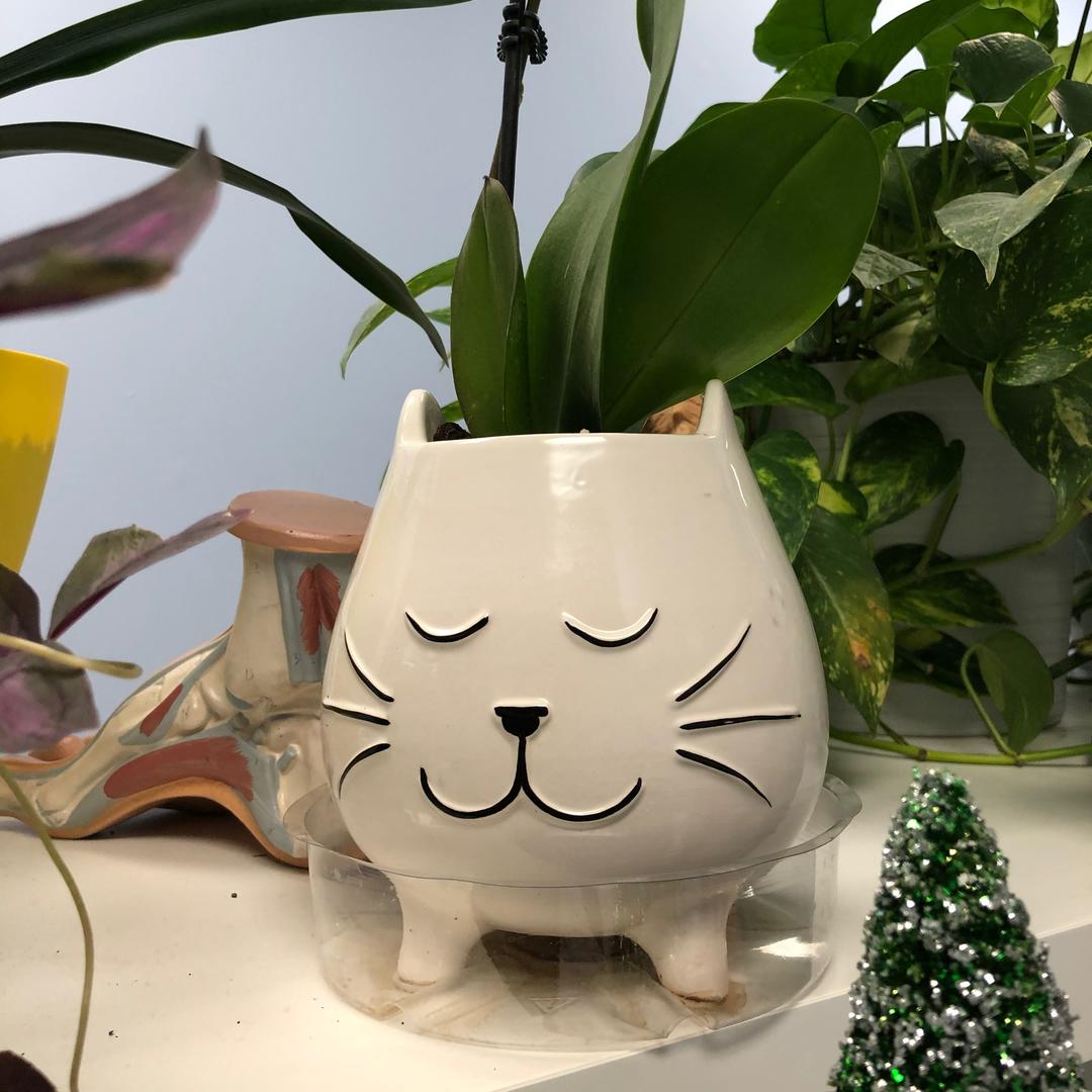 大卫的私房菜