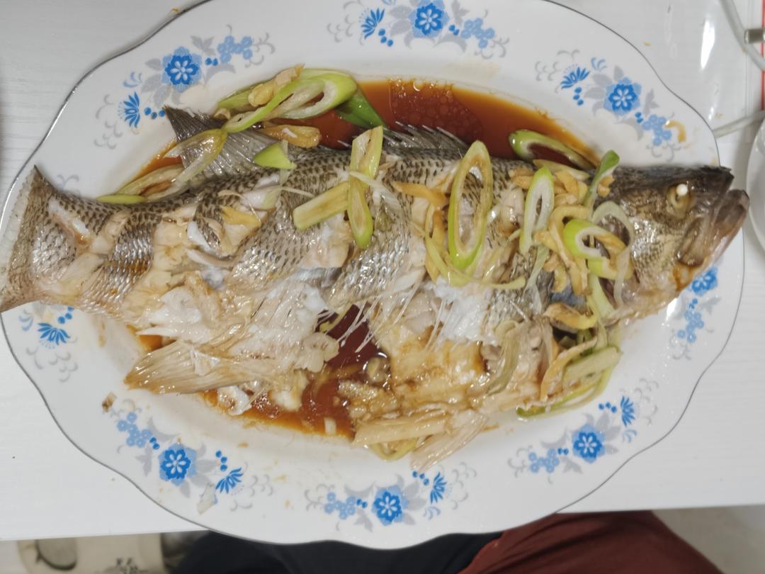 清蒸鲈鱼（桂鱼、多宝、鸦片鱼等）