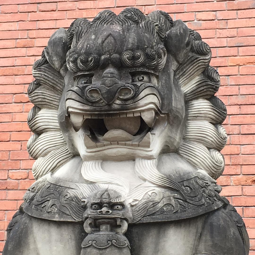 努努力