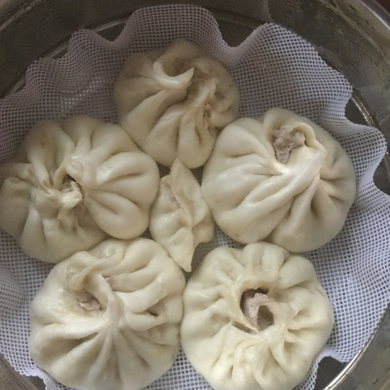 家庭手工肉馅大包子