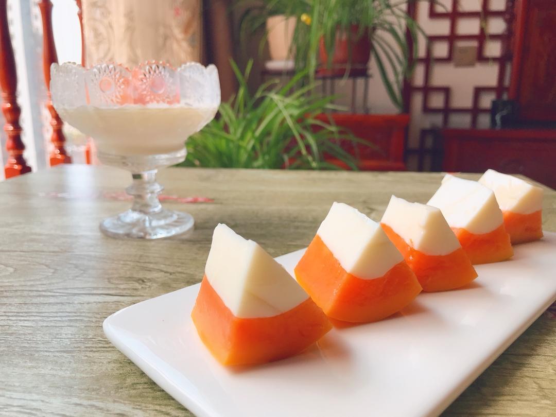 木瓜椰奶冻