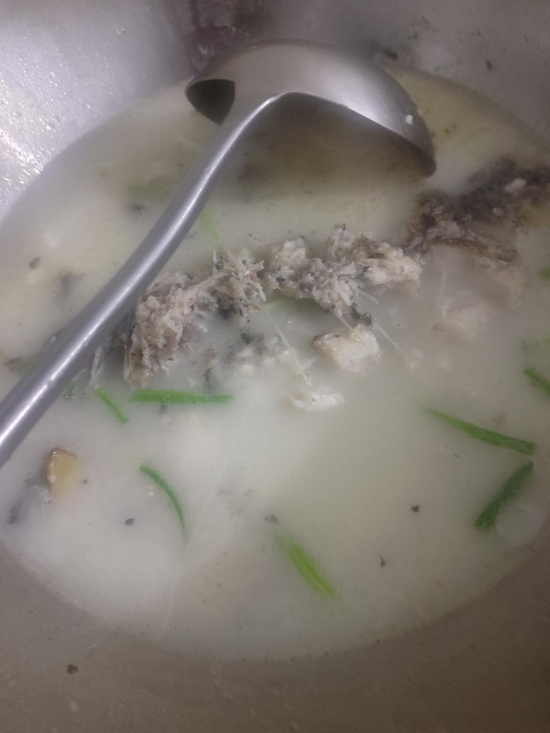 清炖鲫鱼汤