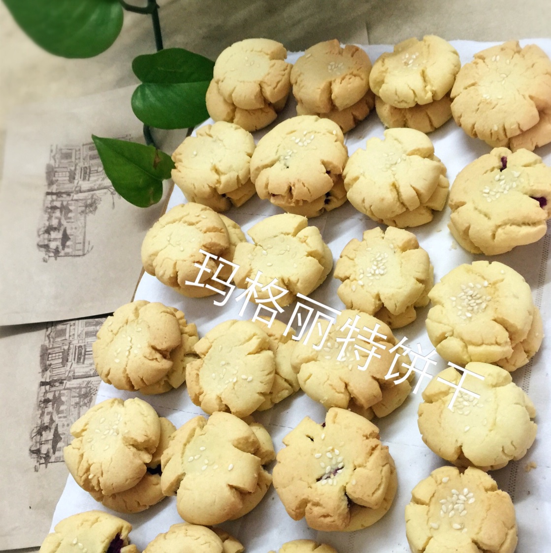 玛格丽特饼干