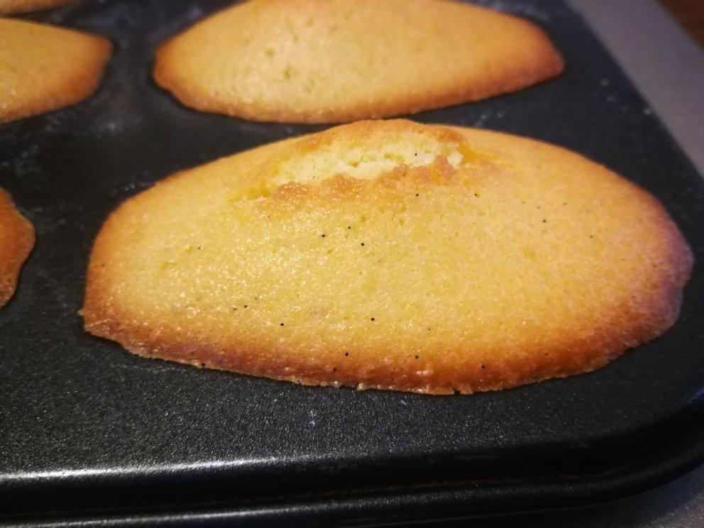 香草柠檬玛德琳