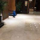 一只可爱小猴纸