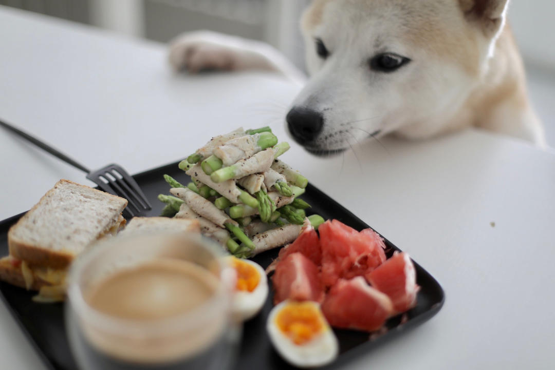 芦笋鸡胸肉卷