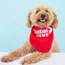 手机用户2966_vabj