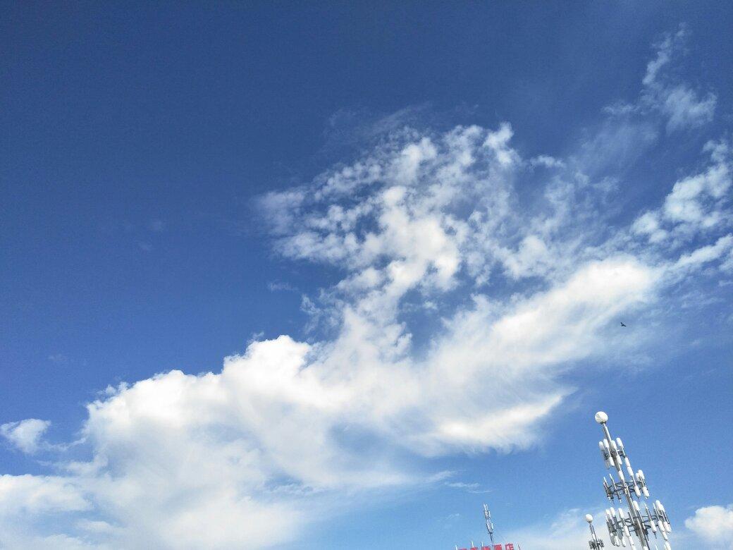 10分钟快速酥皮㊙️高成功率解放双手