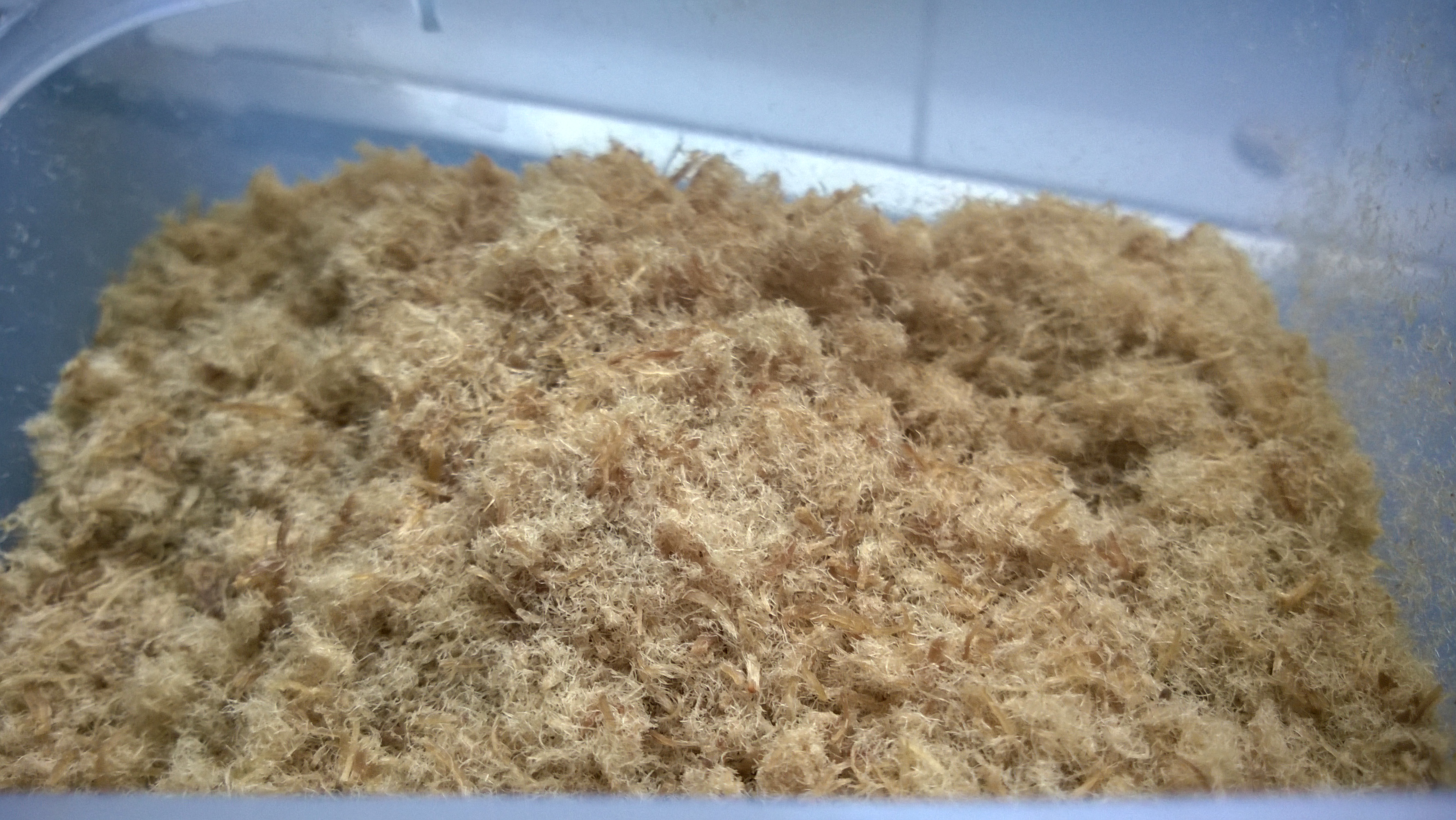 ♡宝宝辅食牛肉松♡