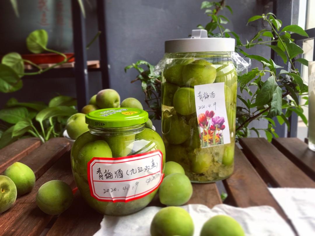 青梅酒（优的春日私酿第二話）