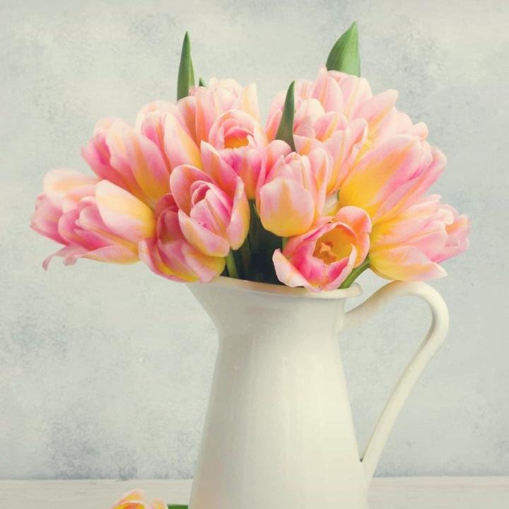 爱做菜的二宝妈