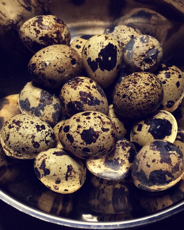 煮鹌鹑蛋，小时候的美味~~