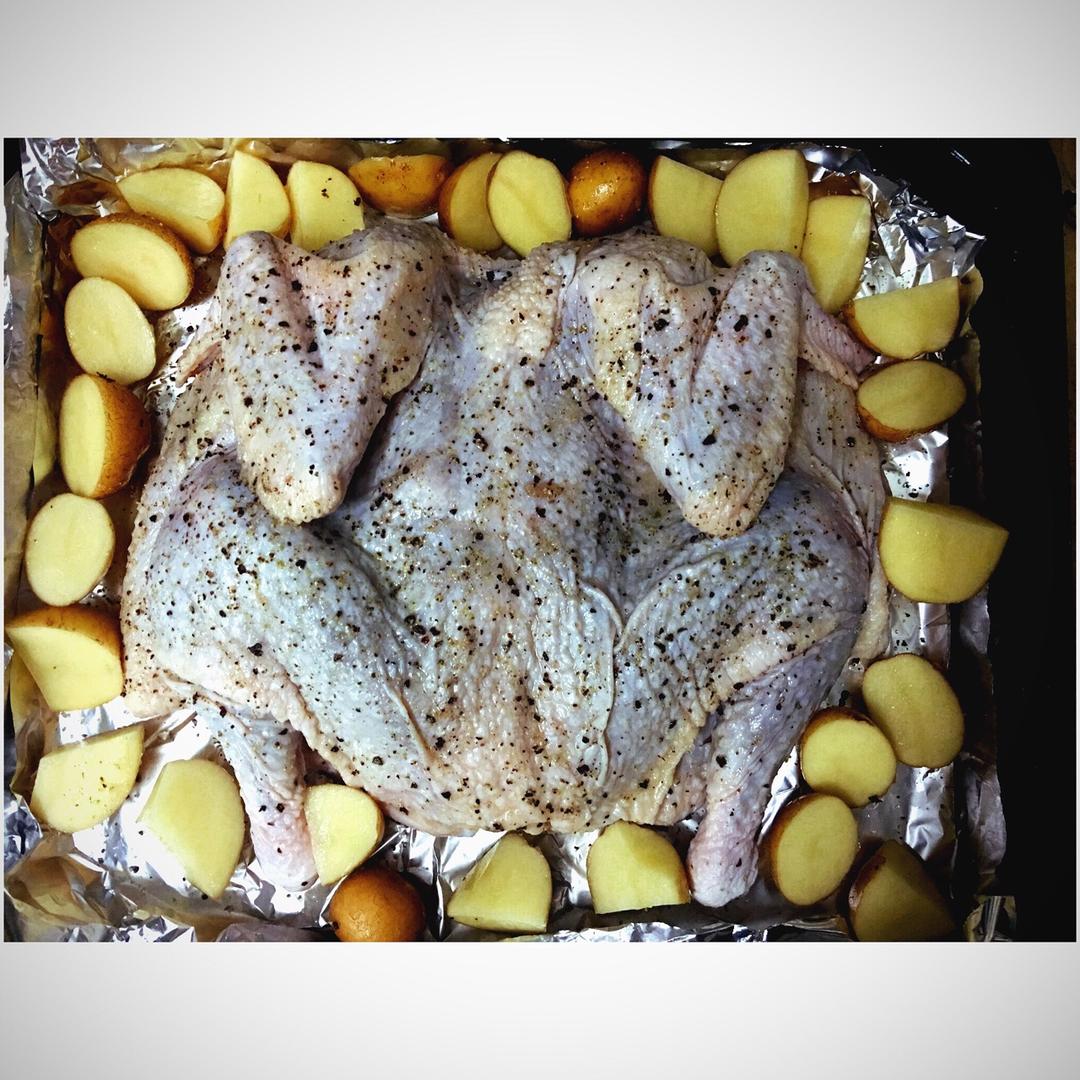 田螺姑娘超级简单不用腌制脆皮烤鸡