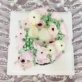 范大大姐