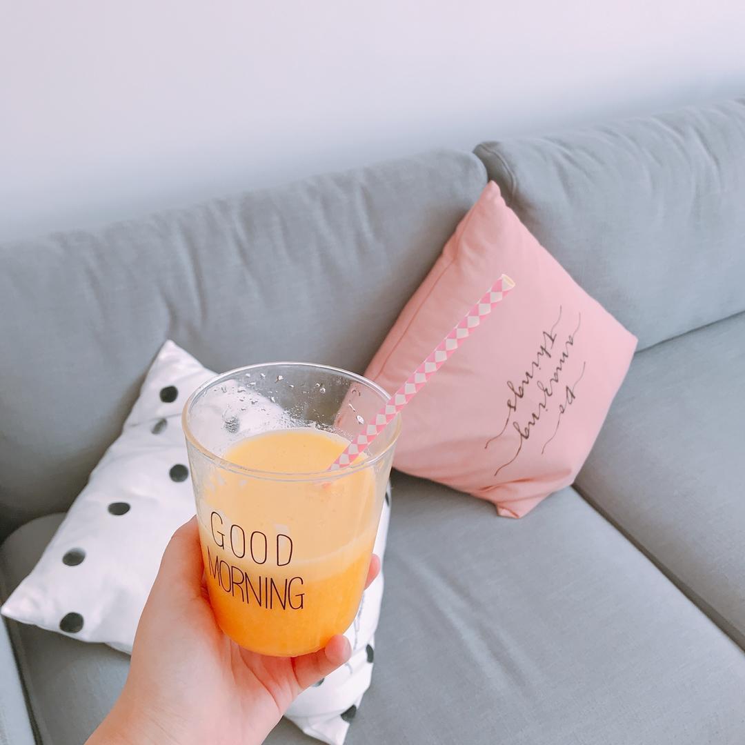 Vitamix s55记录篇