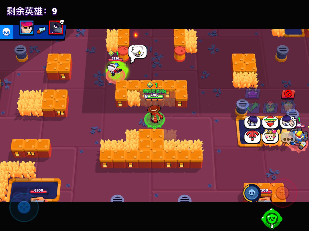 brawler