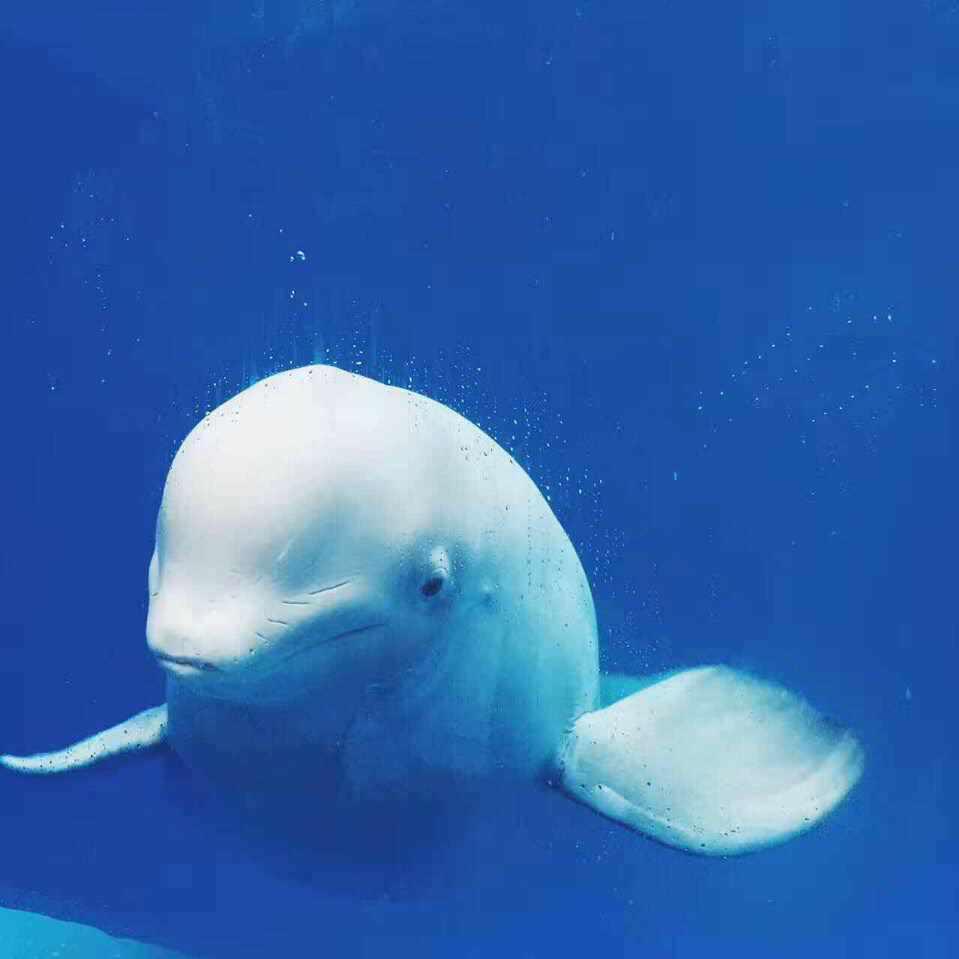 手机用户2285_0o3f