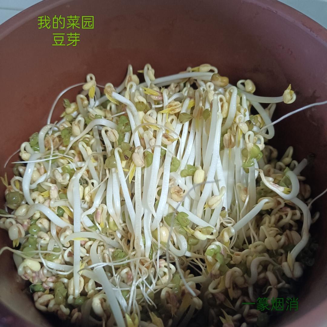 吾家果