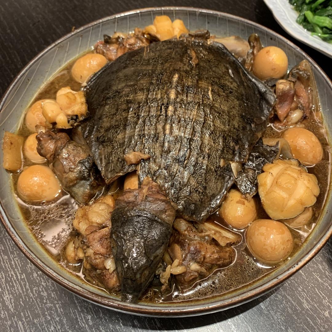 红烧甲鱼