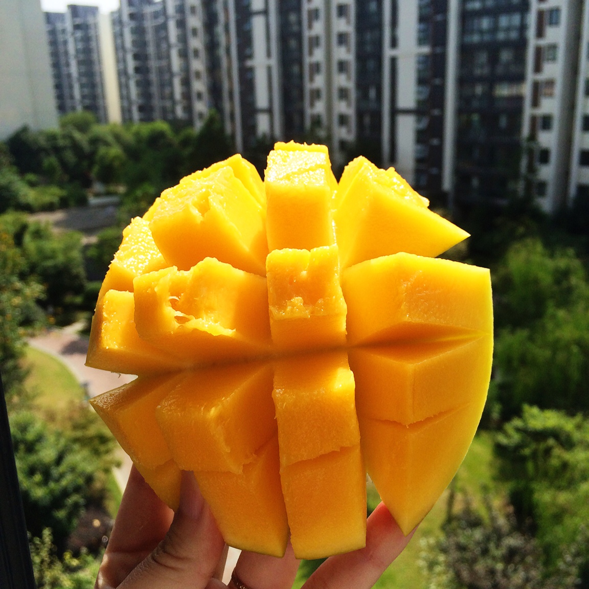 午餐•2015年9月28日