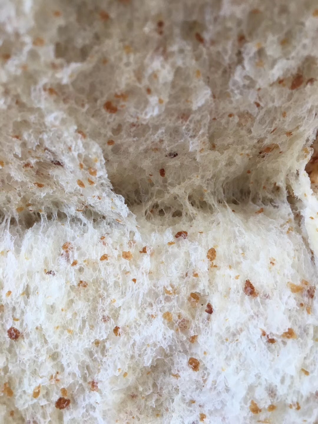 冷藏发酵中种法小麦胚芽庞多米吐司