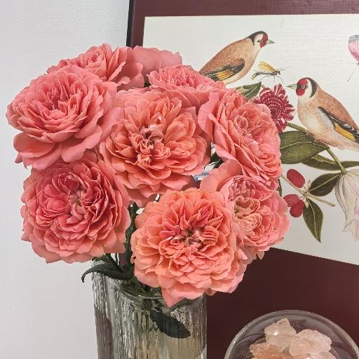 此人吃商恐在我之上