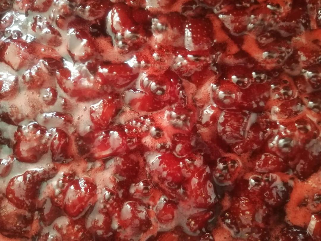 《Tinrry下午茶》番外篇-满满果肉的草莓果酱