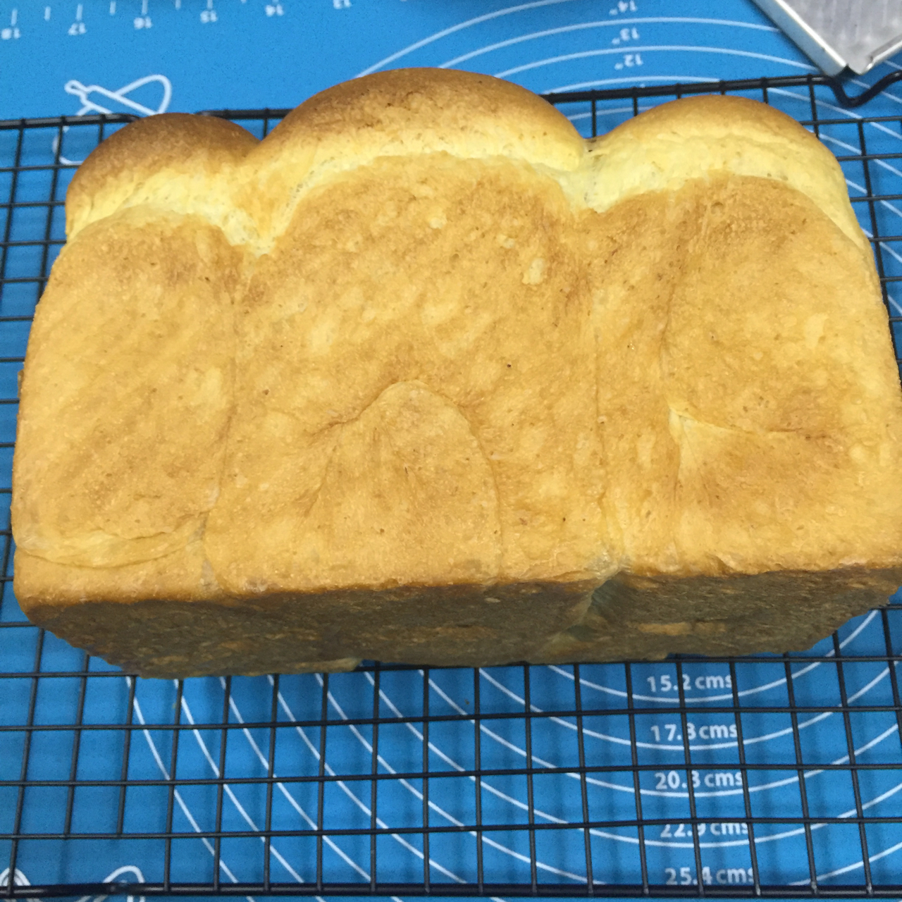 全麦吐司（70%冷藏中种法）