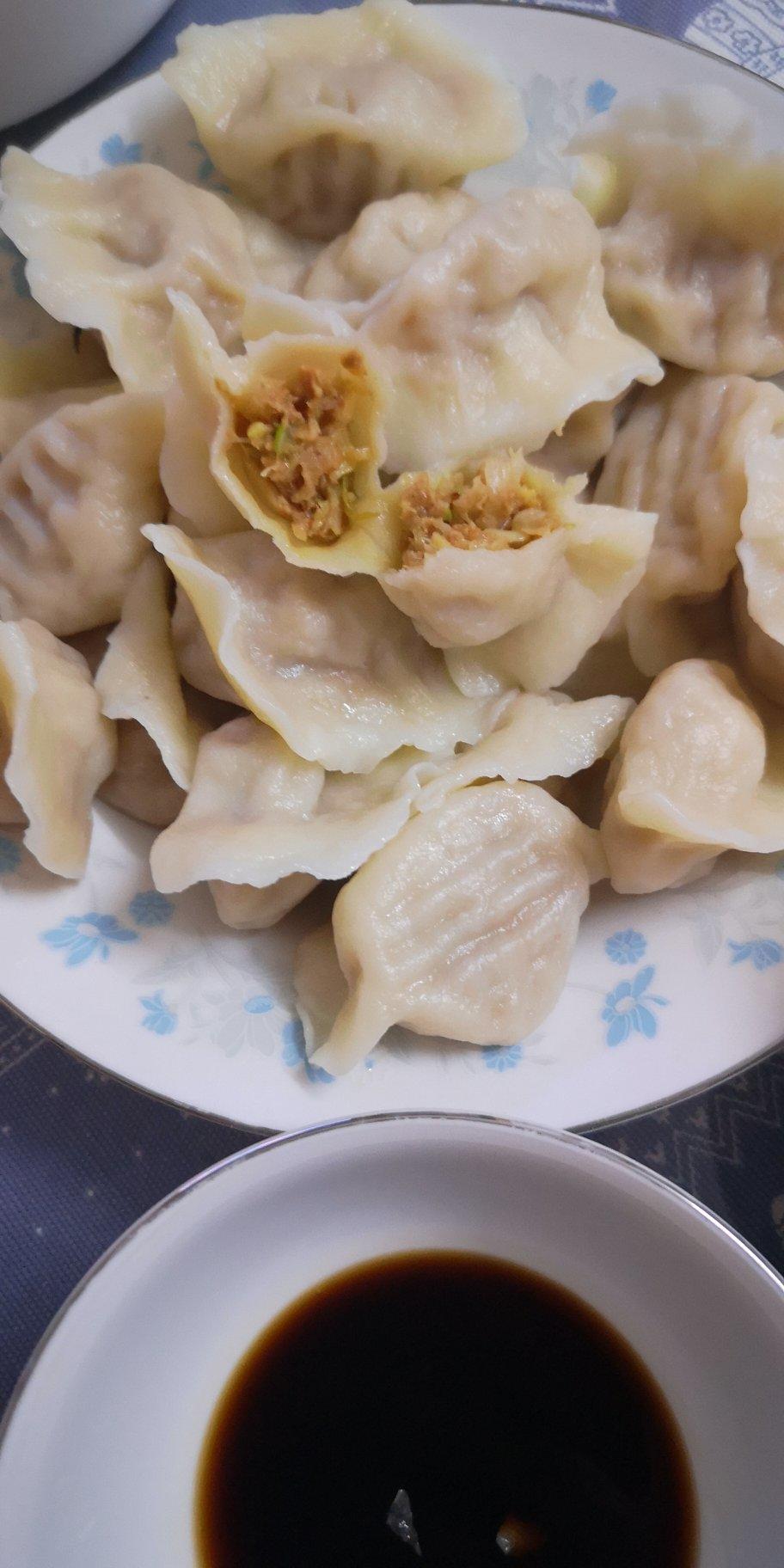 寒梅悠春做的吃不够的酸菜肉馅饺子