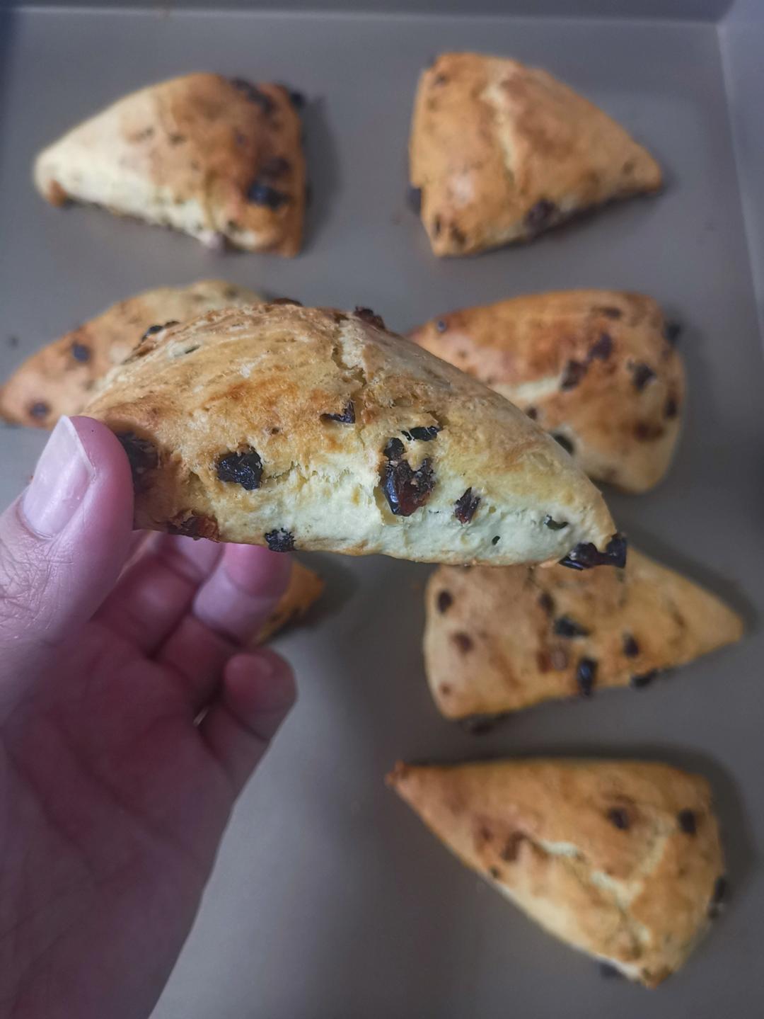 蔓越莓司康｜超快手0失败｜免打发｜免发酵｜只要搅一搅｜英式贵族下午茶