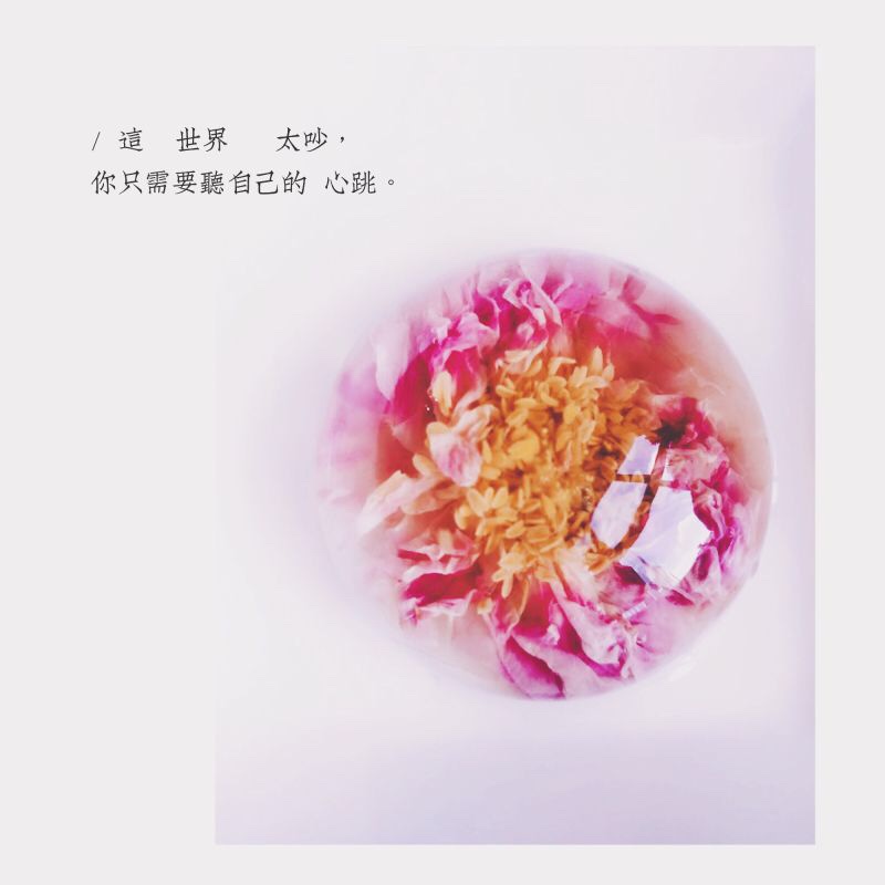 闭君子