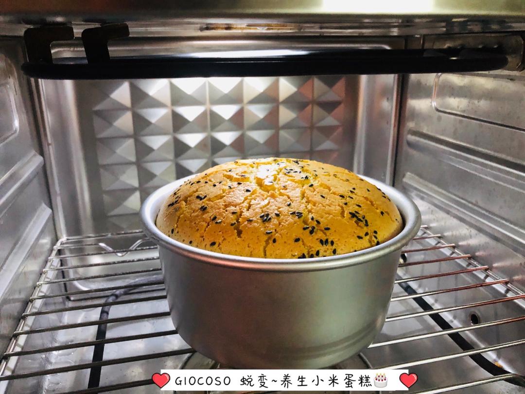 养生小米蛋糕