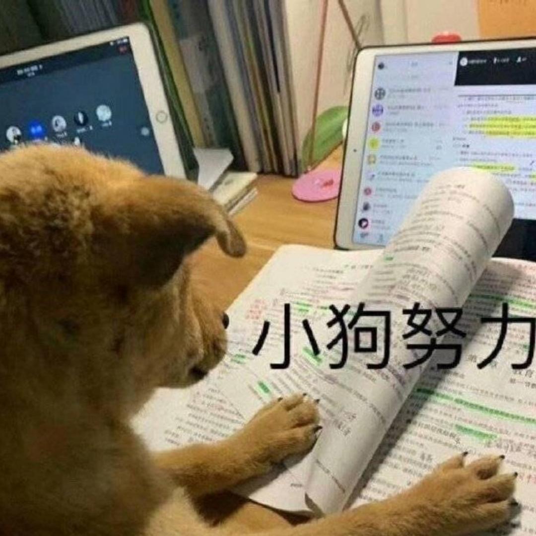 人脑壳村村支书