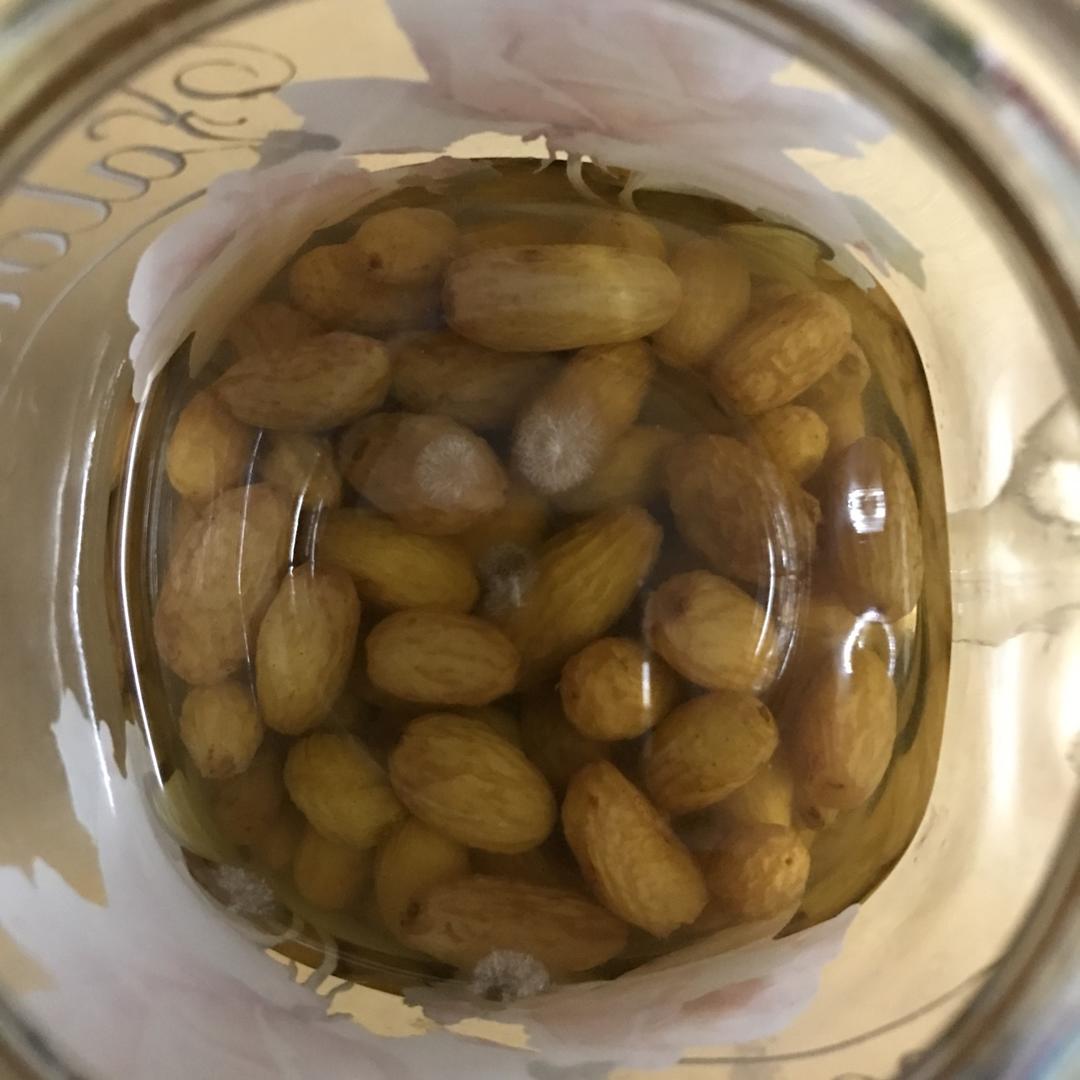 天然酵母宝宝养成记