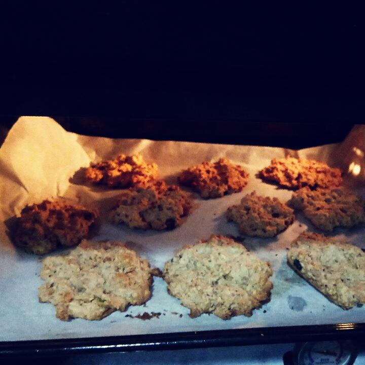 葡萄干麦片曲奇 Oats Cookies