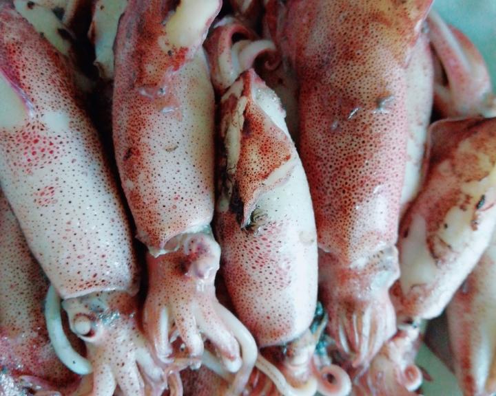 简单易做的白灼鱿鱼