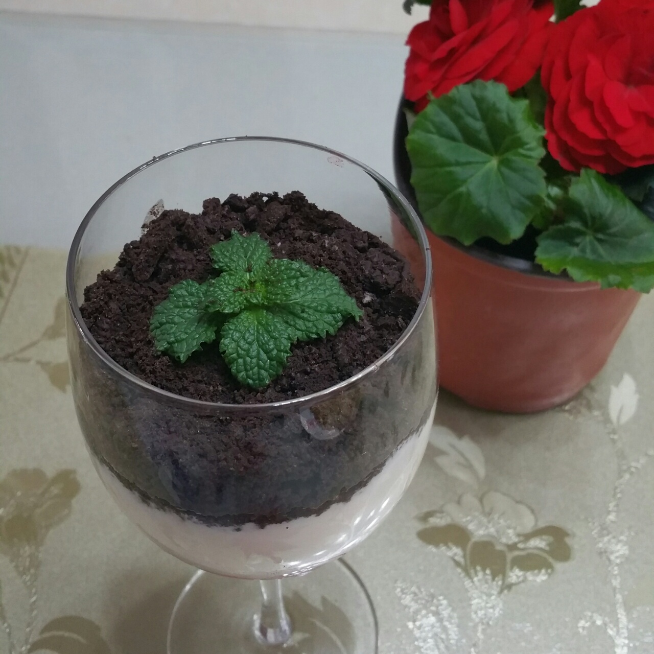 盆栽酸奶