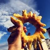 活色生香滴生活