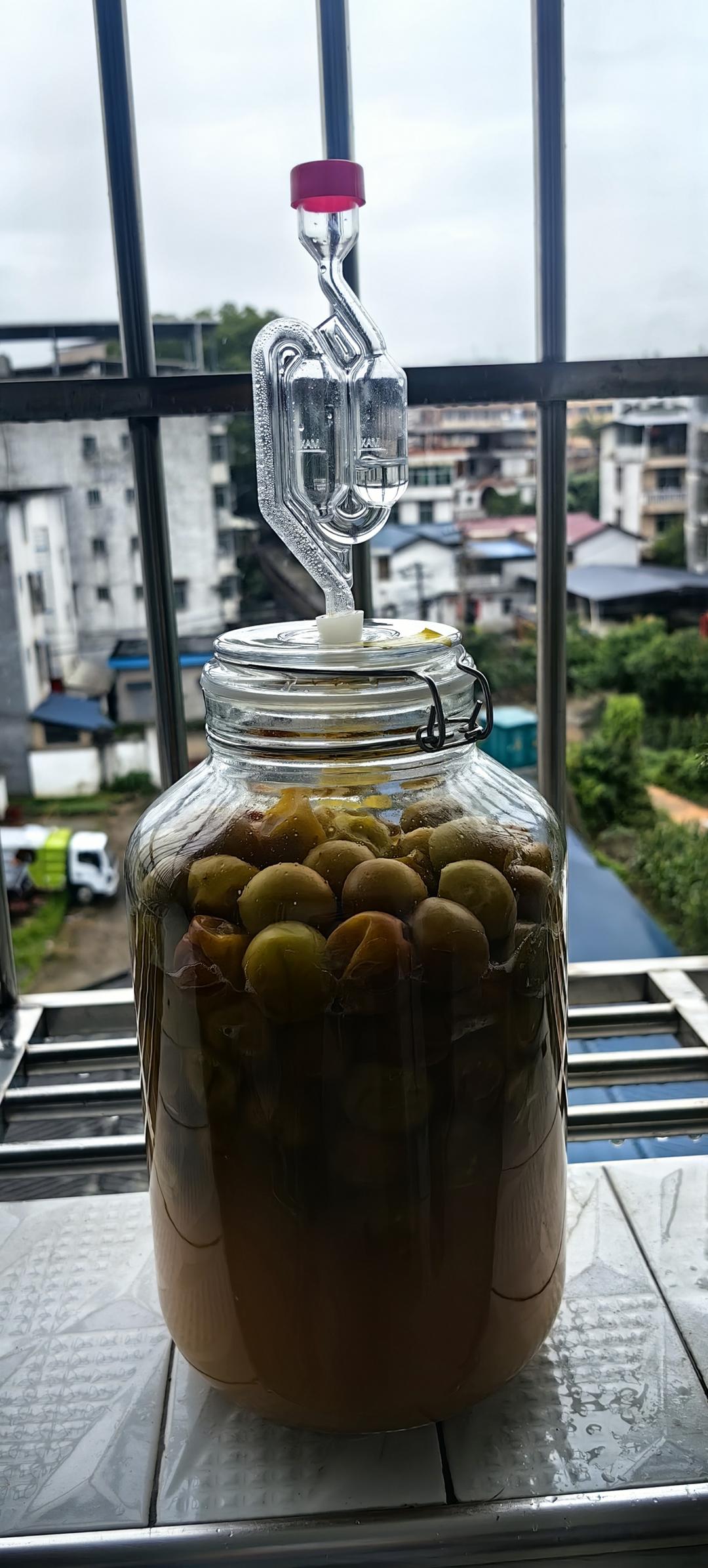 天然发酵---蜂蜜梅酒