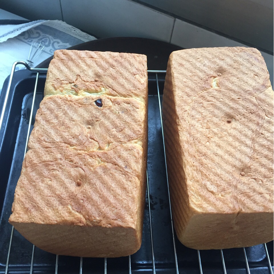 夺命软吐司(๑´ڡ`๑)超软拉丝极速方便的一次发酵吐司