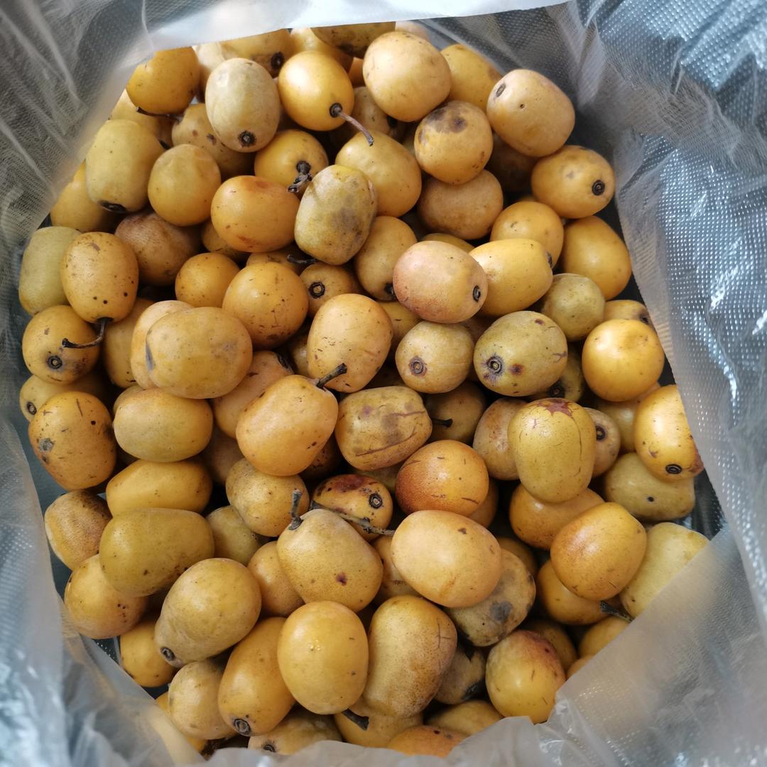 药食两用酸枣露