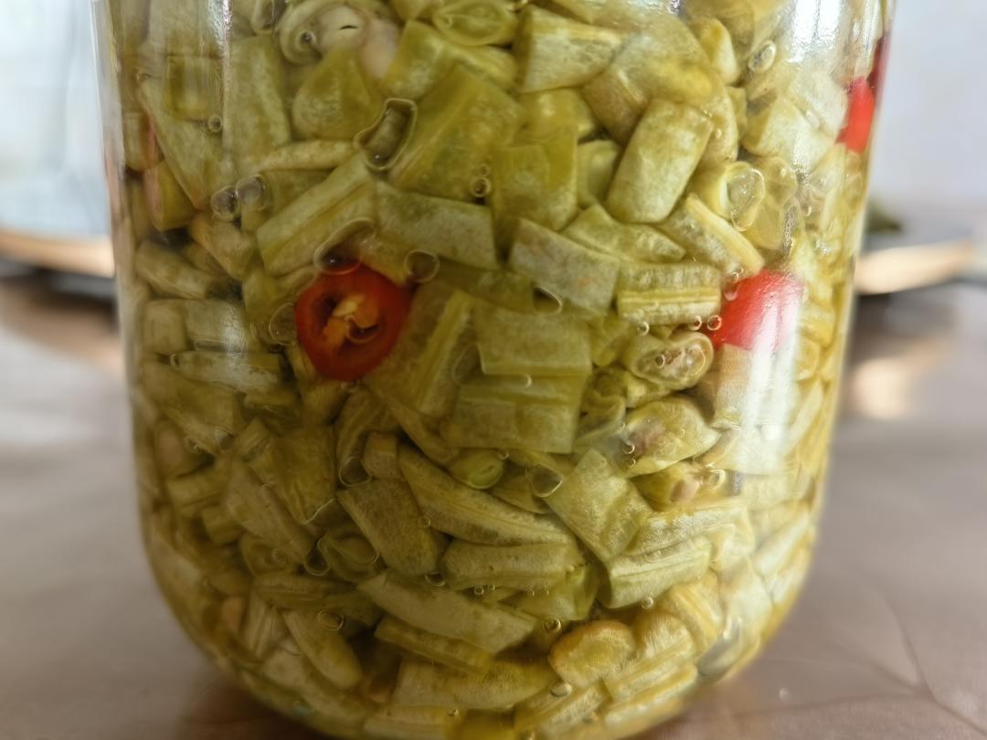 农家自制酸豆角