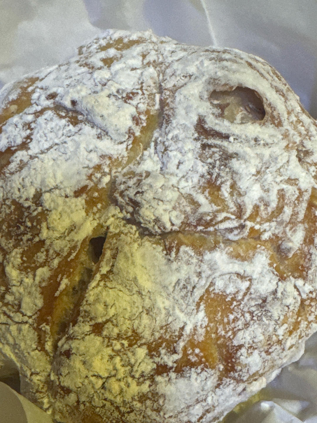 超详细讲解～如何做出满满开放气孔的基础天然酵母酸面包